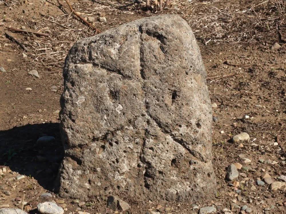 ���������,�� �� ������ �������� ���������