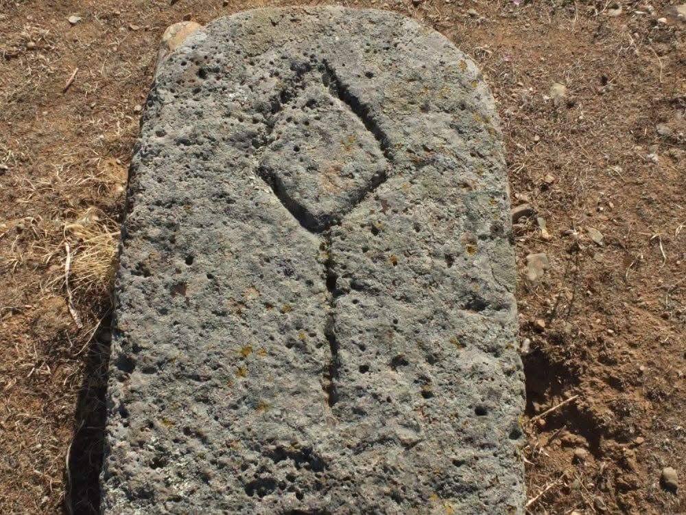 ���������,�� �� ������ �������� ���������