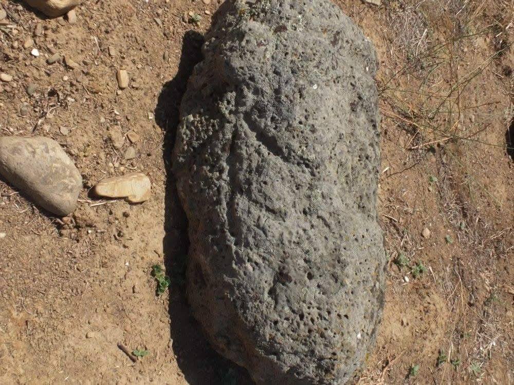 ���������,�� �� ������ �������� ���������