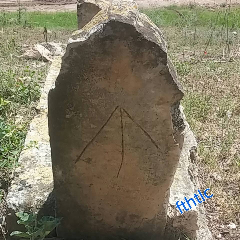 ���������,�� �� ������ �������� ���������