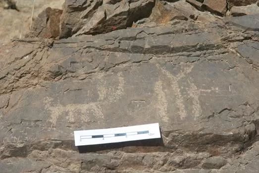 ���������,�� �� ������ �������� ���������