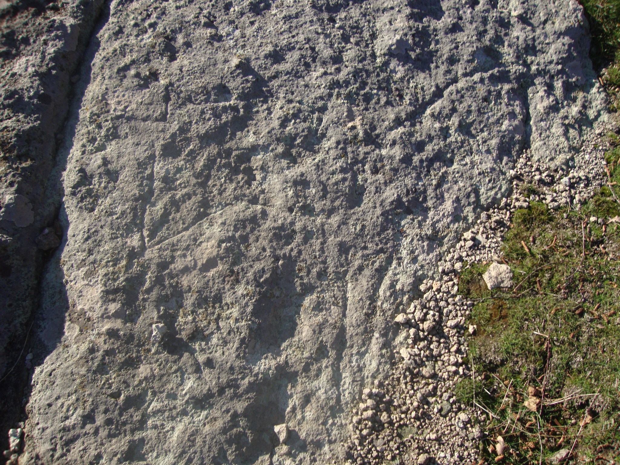 ���������,�� �� ������ �������� ���������