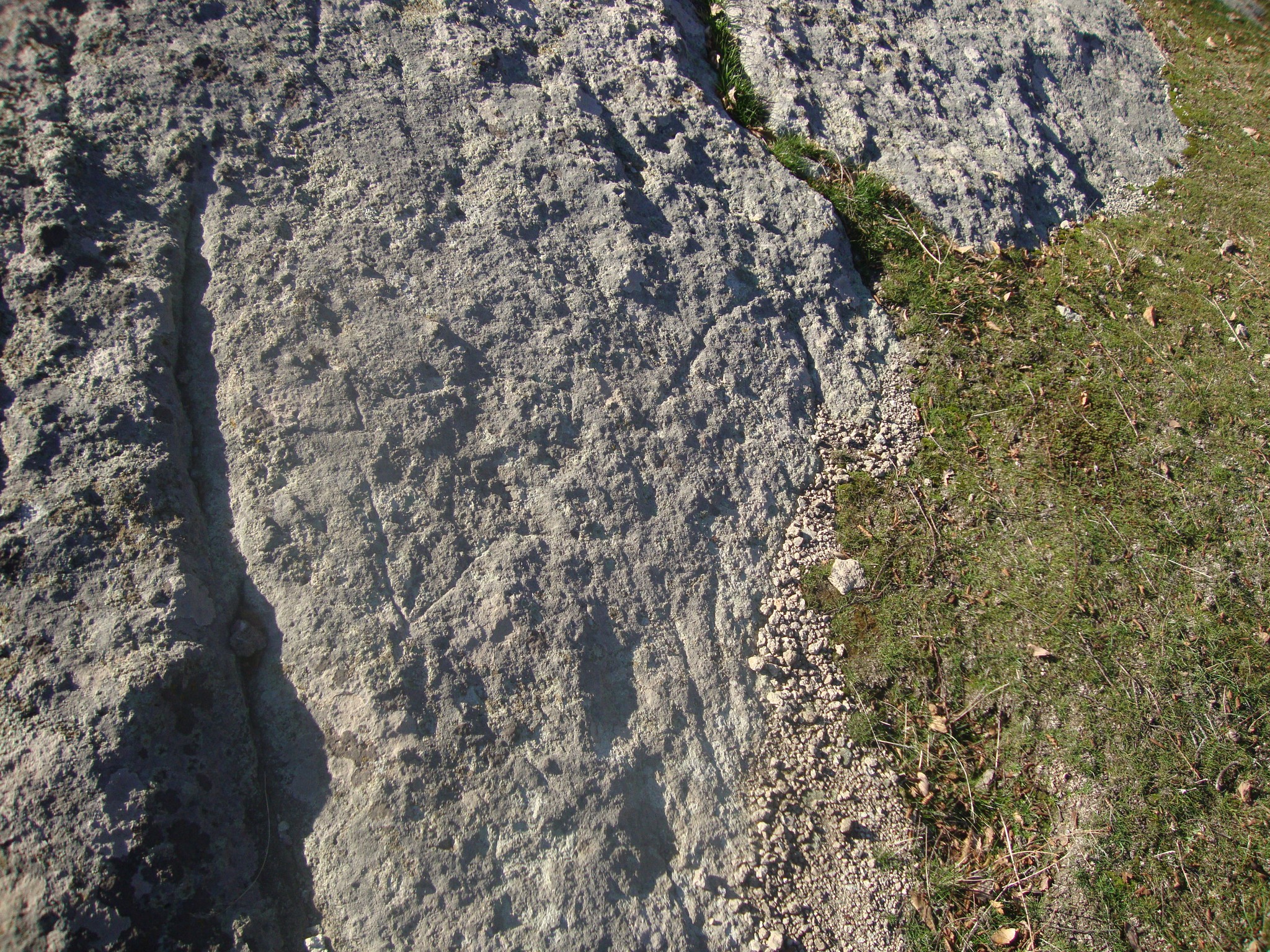 ���������,�� �� ������ �������� ���������