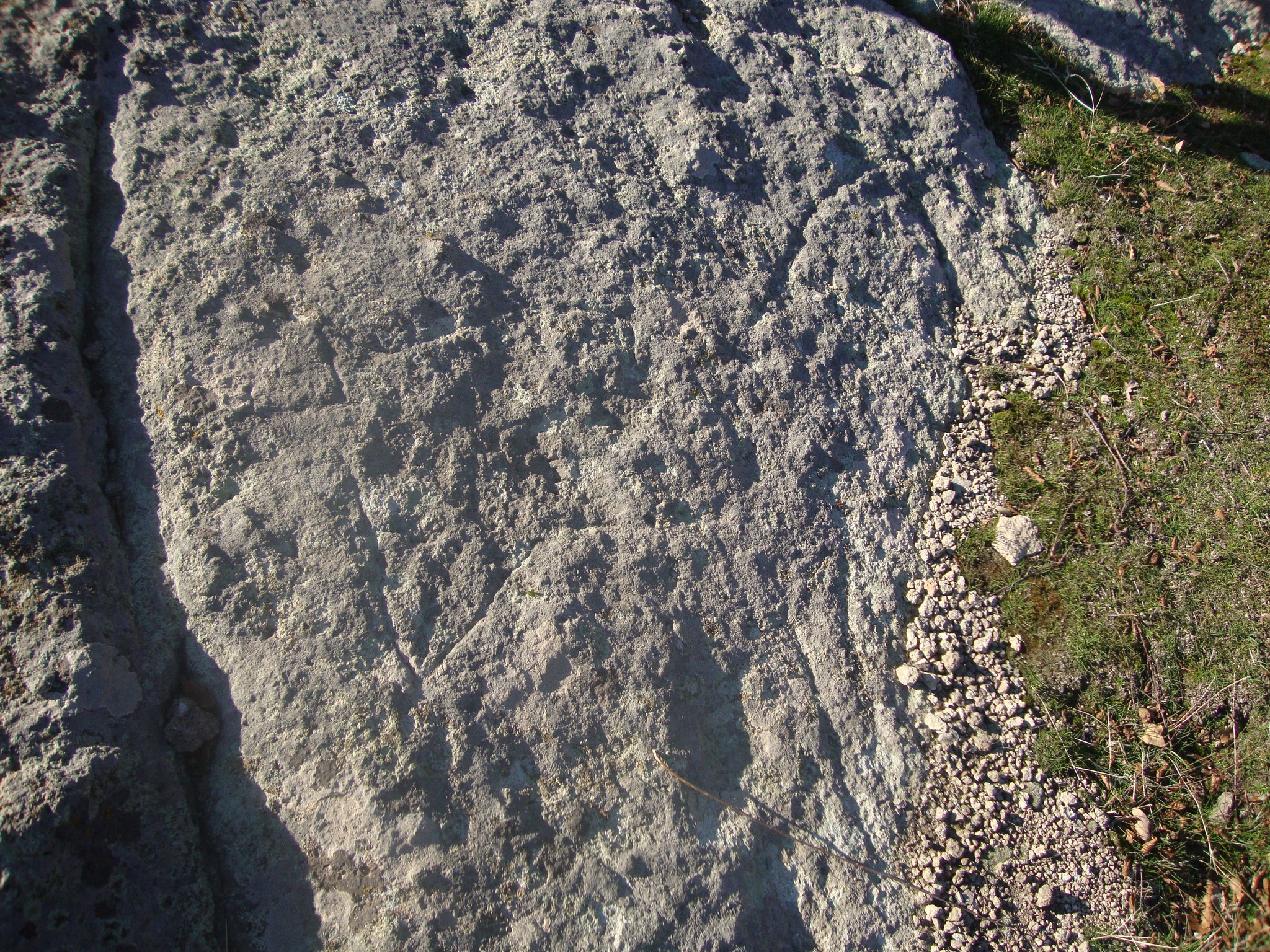 ���������,�� �� ������ �������� ���������