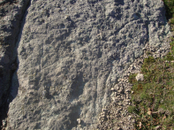 Име : Имен1.jpg
Големина : 1214КБ
Размери : 2048x1536
Дата на добавяне : 18/11/2025 12:27 Имен1.jpg